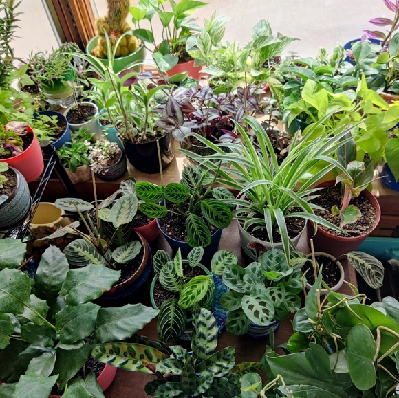 Meet your Posher, Beth - Picture 5 of 6